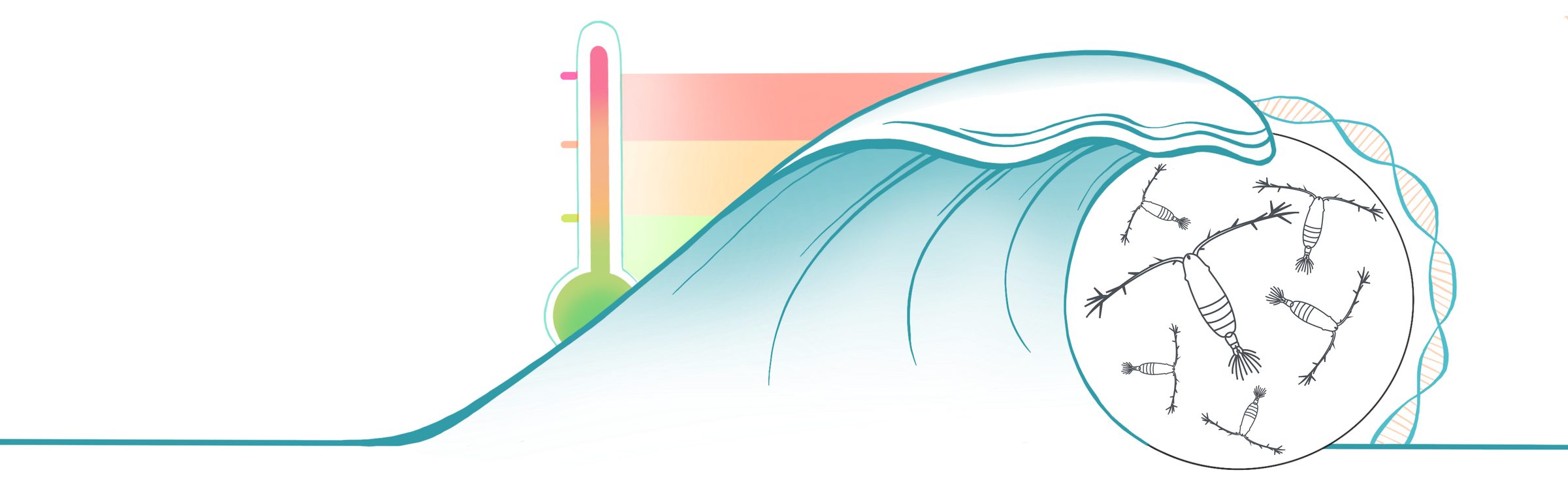 Illustration of a wave carrying copepods, with a temperature gradient bar rising from blue to red