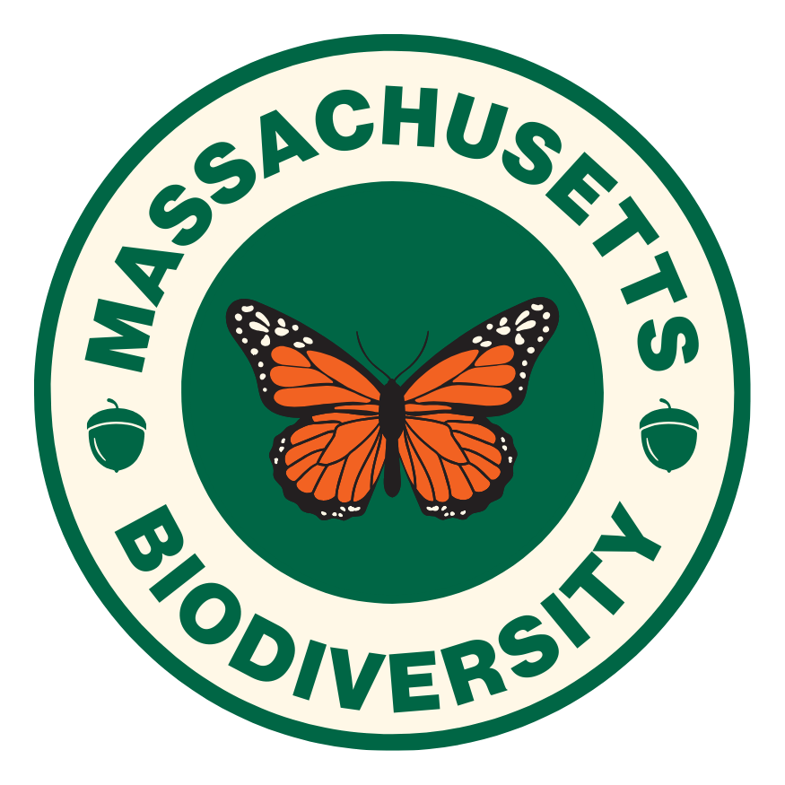 Massachusetts Biodiversity logo with a monarch butterfly