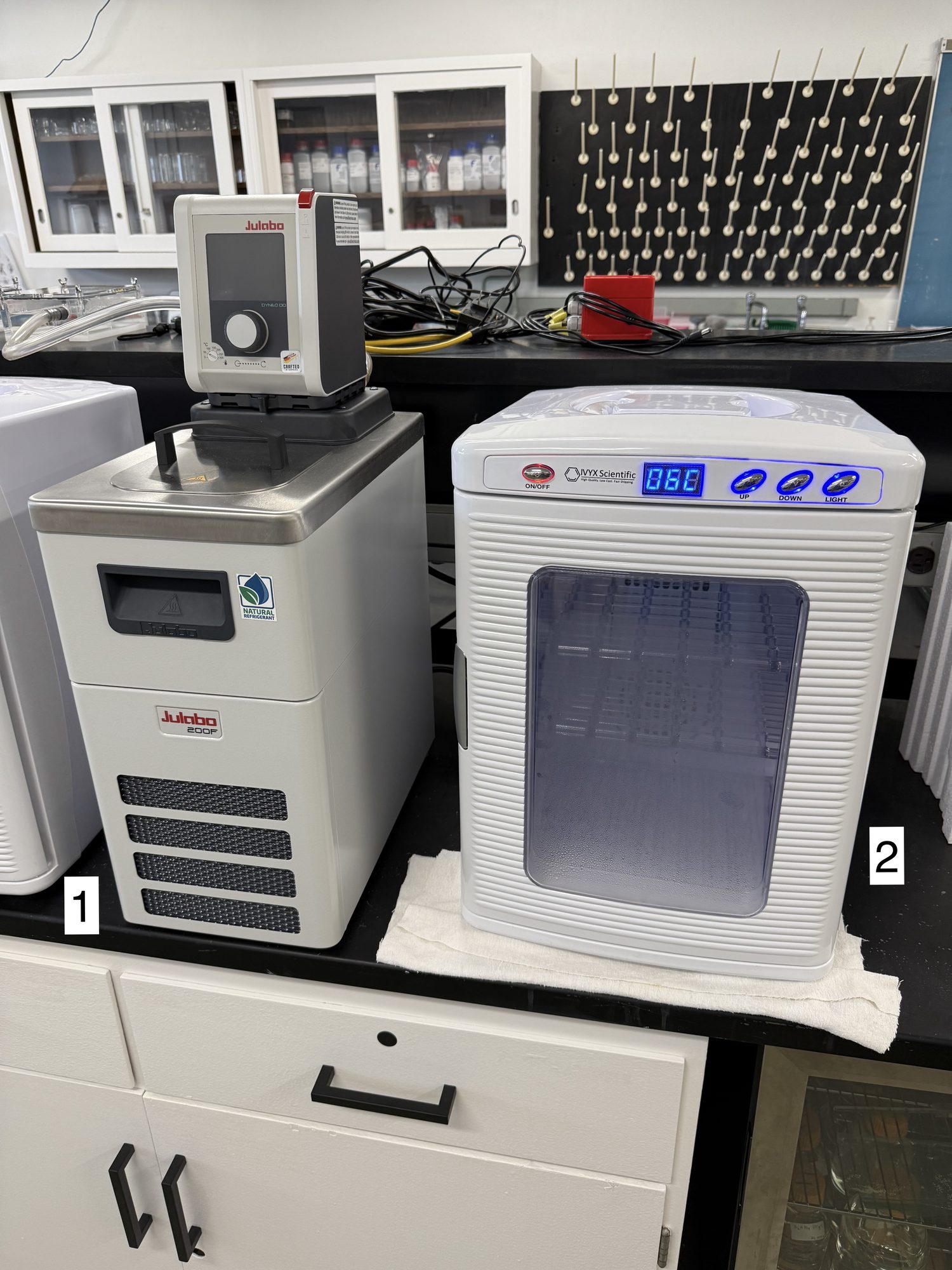 Immersion circulator and benchtop incubator on a lab bench